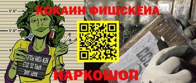 спайс Кингисепп