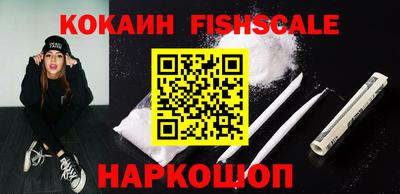 спайс Кингисепп