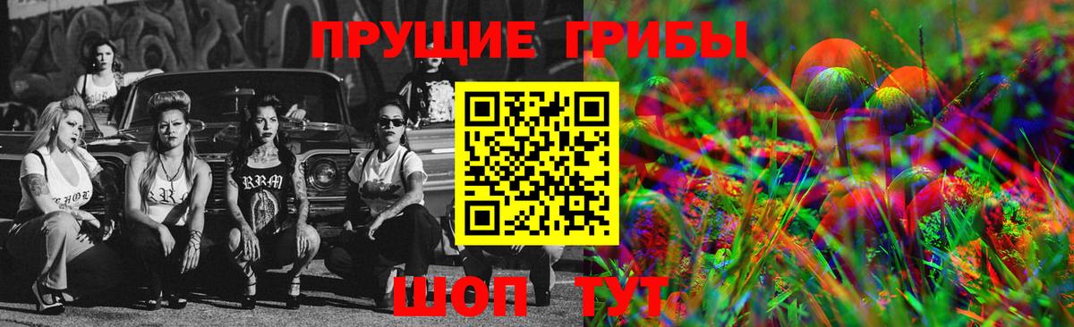 Псилоцибиновые грибы MAGIC MUSHROOMS  Вход с VPN  Костомукша 